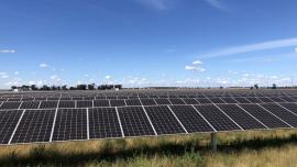 Trundle solar park - Ingka Investiments